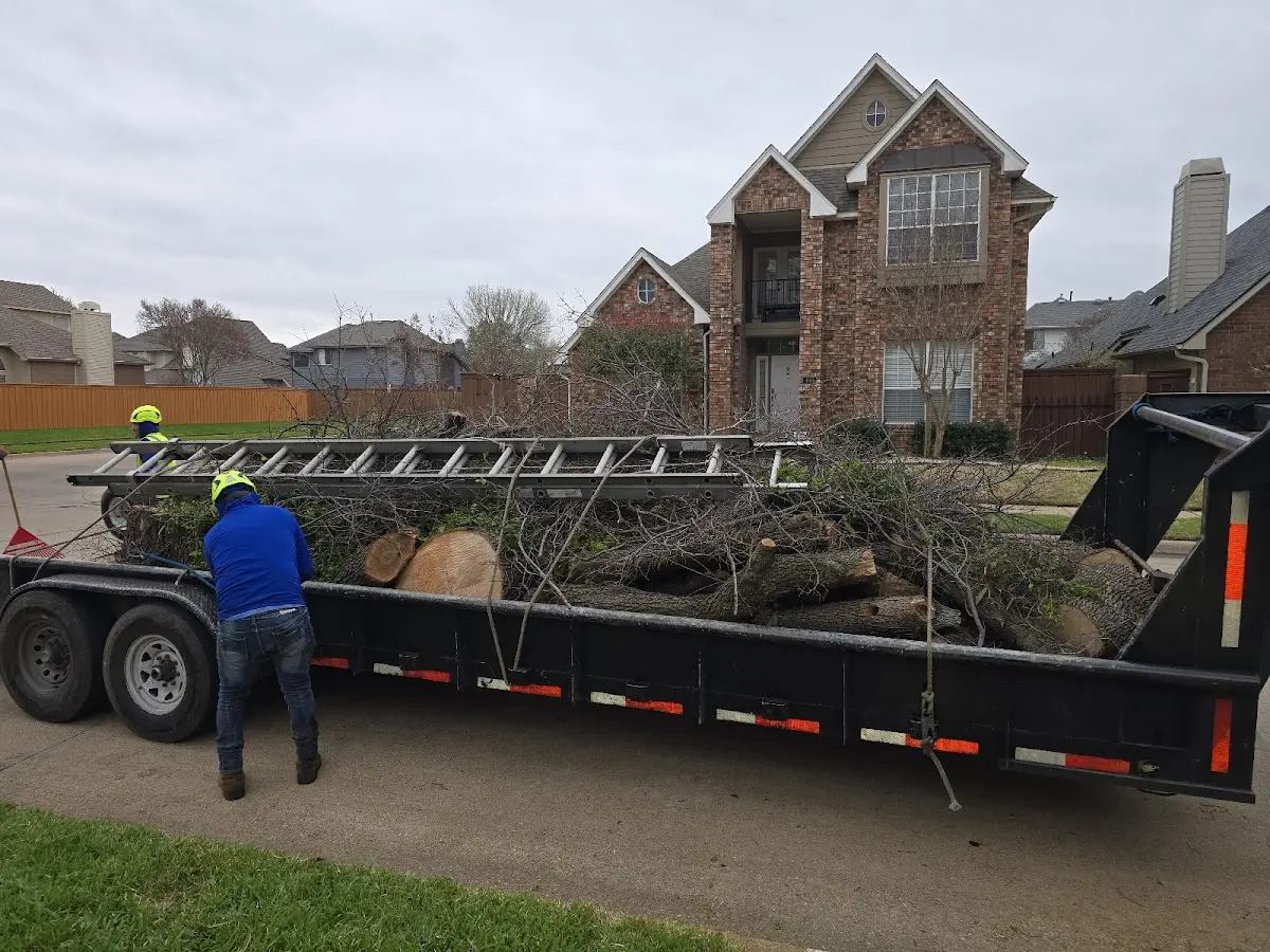 Expert Tree Fertilization with proper safety equipment in East Wallingford